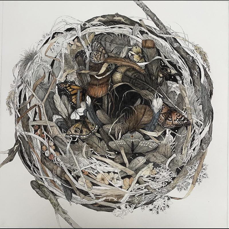 Sutter-Blair, Julie